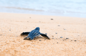 P - Feed Me The Word Today